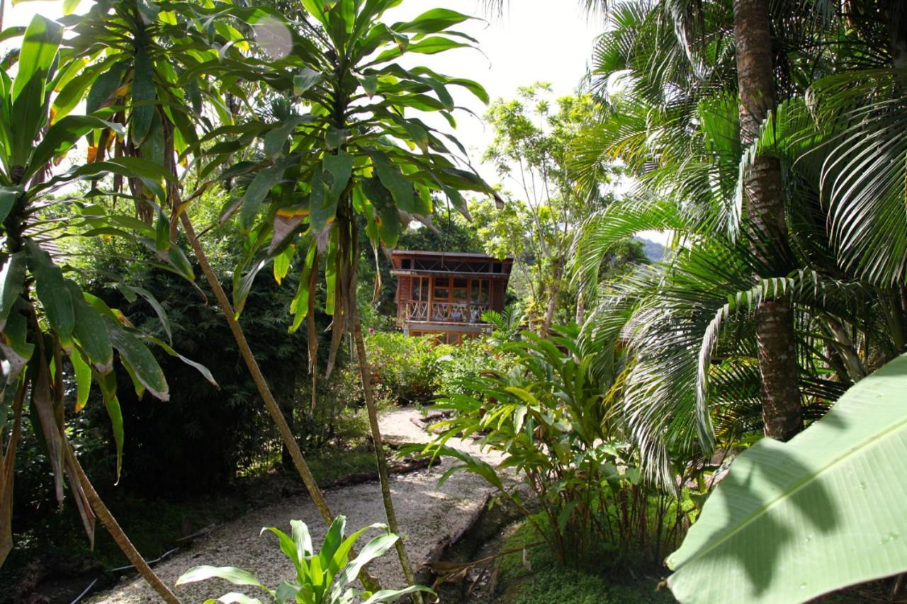 Acajou Hotel Grande Riviere 외부 사진