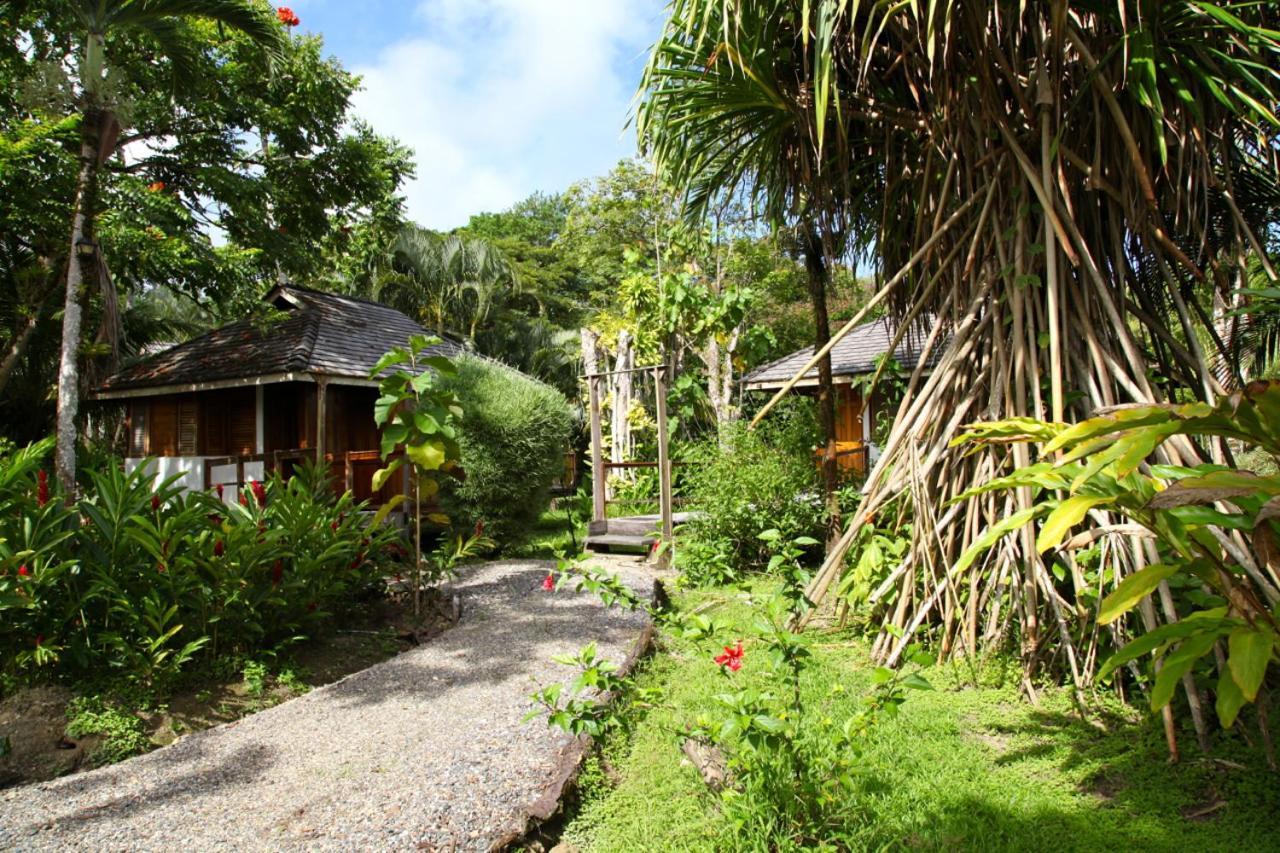 Acajou Hotel Grande Riviere 외부 사진