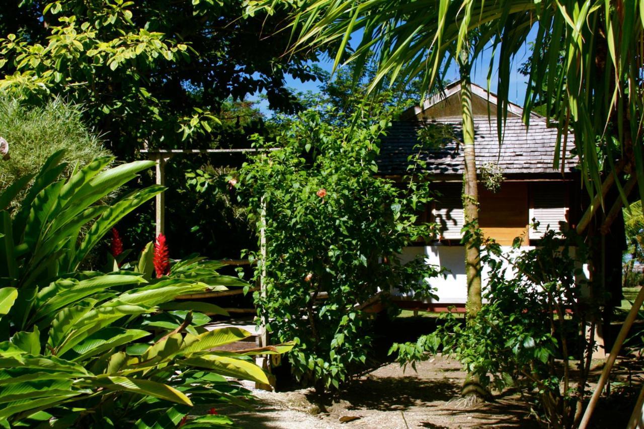 Acajou Hotel Grande Riviere 외부 사진