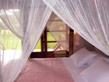 Acajou Hotel Grande Riviere 객실 사진